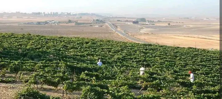 Holiday home Casa En Jerez Con Patio Cerca De La Playa Y De La Sierra Villa Jerez de la Frontera